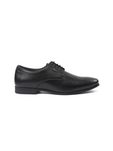 Lee Cooper Black Formal Shoes For Men C6214Er C001